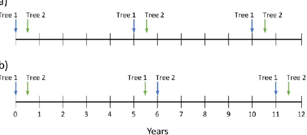 Figure 1.7  Illustration  of  the  maintenance  pruning  schedule  under  the  electricity  distribution network over two pruning cycles, when trees reach the mature phase