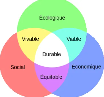 Figure 10 : L’interaction entre les piliers du Développement Durable 