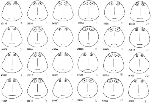 Diagramme n° 3 : Représentation de données quantitatives à l’aide de visages 