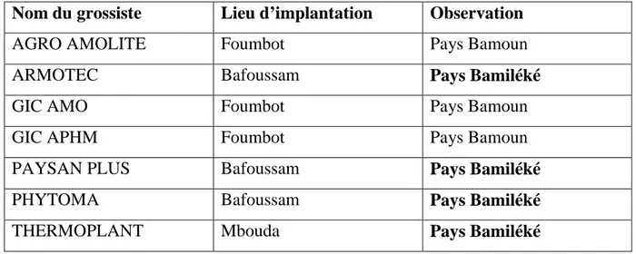 Tableau 4: Liste des grossistes d’intrants agricoles de la Province de l’Ouest Cameroun 
