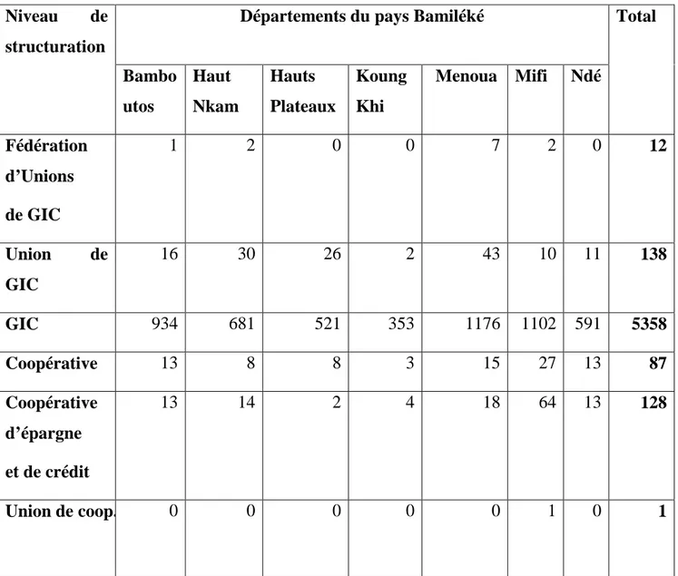 Tableau 10: Effectif des organisations paysannes des départements du pays Bamiléké en  fonction de leur niveau de structuration en juin 2007 