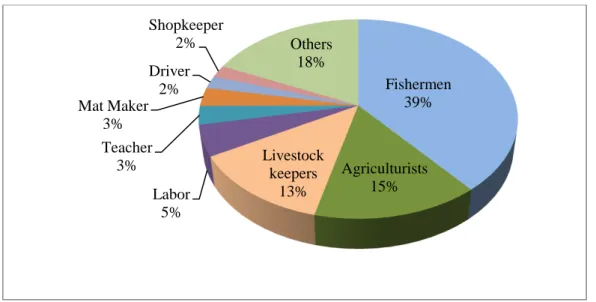 Figure 12: Main actors of the Chotiari area 