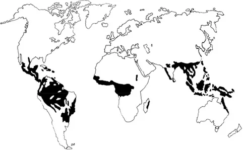 Figure 1 : Régions du monde où se pratique l'agriculture d'abattis-brûlis 