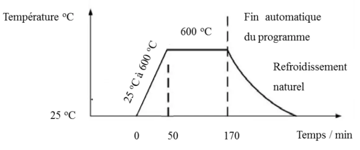 Figure 2.2. Rampe de température utilisée pour le recuit des échantillons de CuGaS2.  2.2   Caractérisations thermiques : analyse thermogravimétrique-MS 
