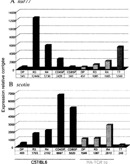 Figure 4. Modulation de nur77  et de scotin chez un modele  murin de selection positive