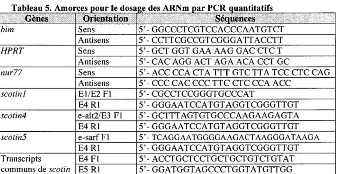 Tableau 5. Amorces pour le dosage des ARNm par PCR quantitatifs  Genes  bim  HPRT  nur77  scotinl  scotin4  scotinS  Transcripts  communs de scotin  Orientation Sens Antisens Sens Antisens Sens Antisens E1/E2F1 E4R1 e-alt2/E3 Fl E4R1 e-sarf Fl E4R1 E4F1  E