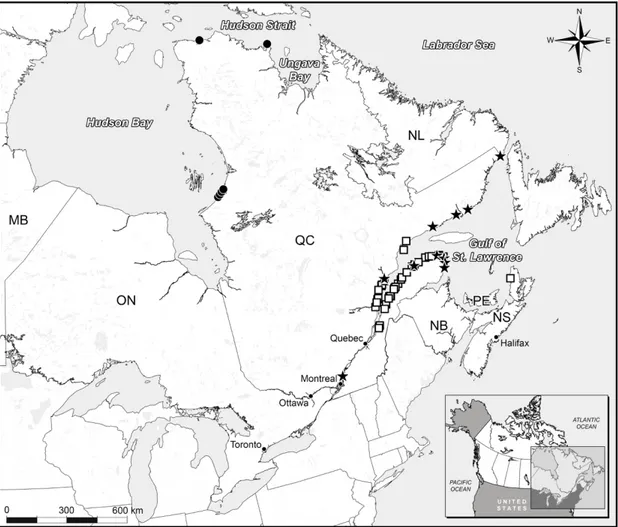 Figure 1.1 Map of Eastern Canada showing sites where samples were collected from belugas from 