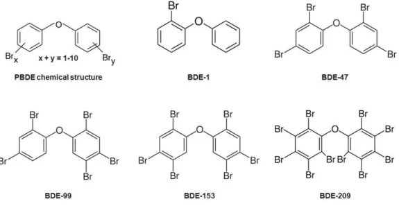 Figure  0.1  Représentation  de  la  structure  chimique  générale  d’un  polybromodiphényl  éther  (PBDE), 