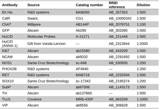 Table S2. List of primary antibodies and dilution factors used for immunofluorescence