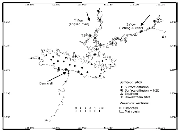 Figure  1.1:  Map  of  Batang  Ai  showing  the  location  of  sampled  sites  and  reservoir  sections