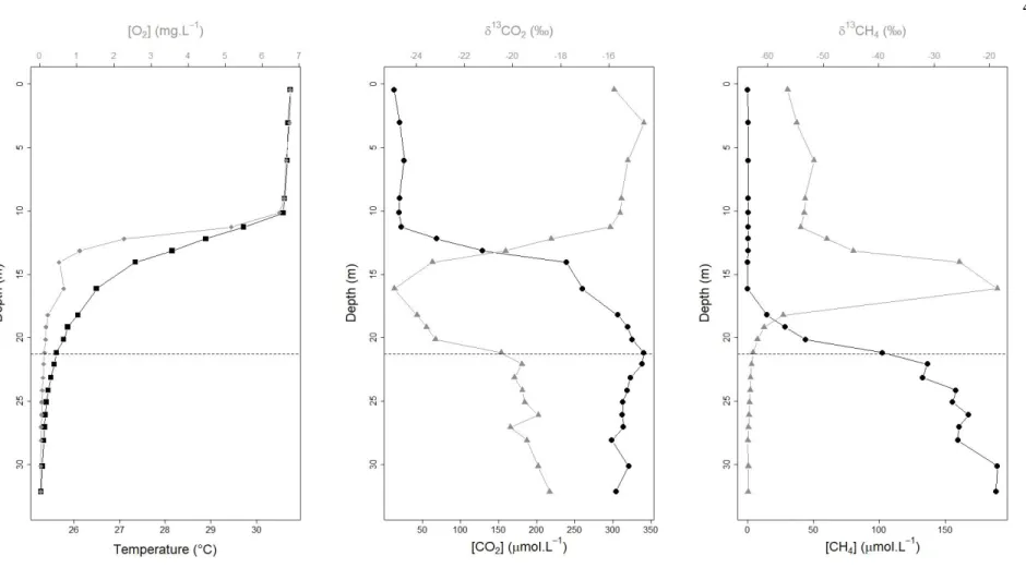 Figure S1.1:  Profile example of water temperature (black squares), dissolved oxygen concentration (gray diamonds), CO 2   and CH 4