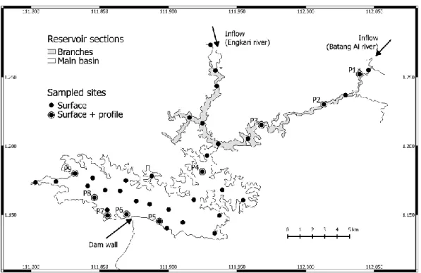 Figure 2.1: Map of Batang Ai reservoir with delimited sections (branches and main  basin) and sampling points