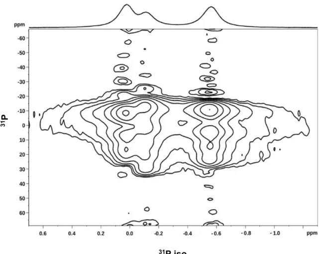 Figure  S1.     S1  2D-PROCSA  31 P  Solid-State  NMR  spectrum  of  3mg  of  lipids  (equimolar 