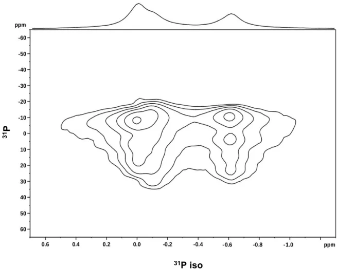 Figure  S3.  2D-PROCSA  31 P  Solid-State  NMR  spectrum  of  3mg  of  lipids  (equimolar 