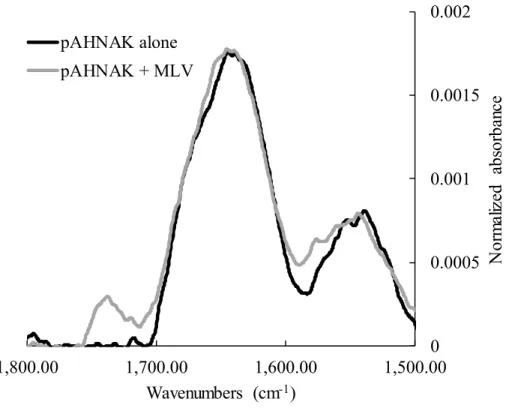 Table S1. CSA values of DOPE, DOPS, and DOPC between 5°C and 40°C in the presence of  pAHNAK