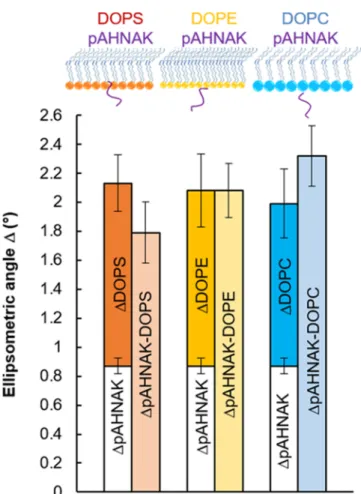 Figure 2 ). Alternatively, the conformation of pAHNAK may have changed to increase the interaction with the DOPS monolayer, resulting in this low ellipsometric angle value
