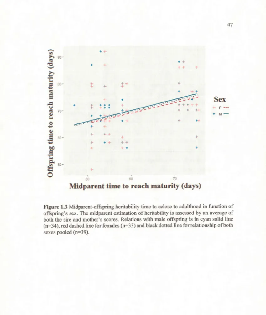 Figure 1.3 Midparent-offspring heritability tirne to eclose to adulthood in function of  offspring's sex