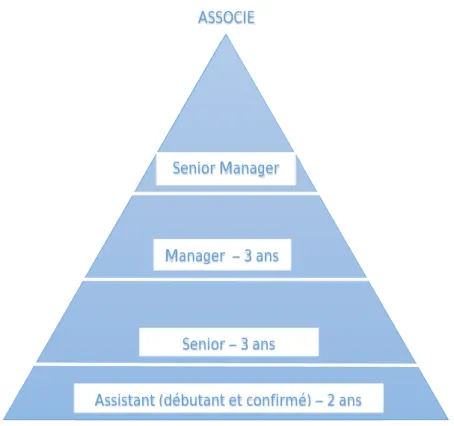 Figure 1 : modèle de carrière pyramidale dans les cabinets Big 4 en France 