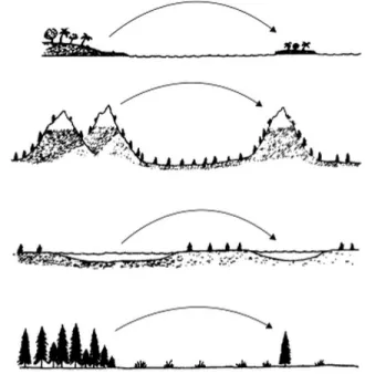 Figure 1.2  Exemple de types d’îles existantes (tiré de :  Whittaker et Fernández-Palacios, 2007, p