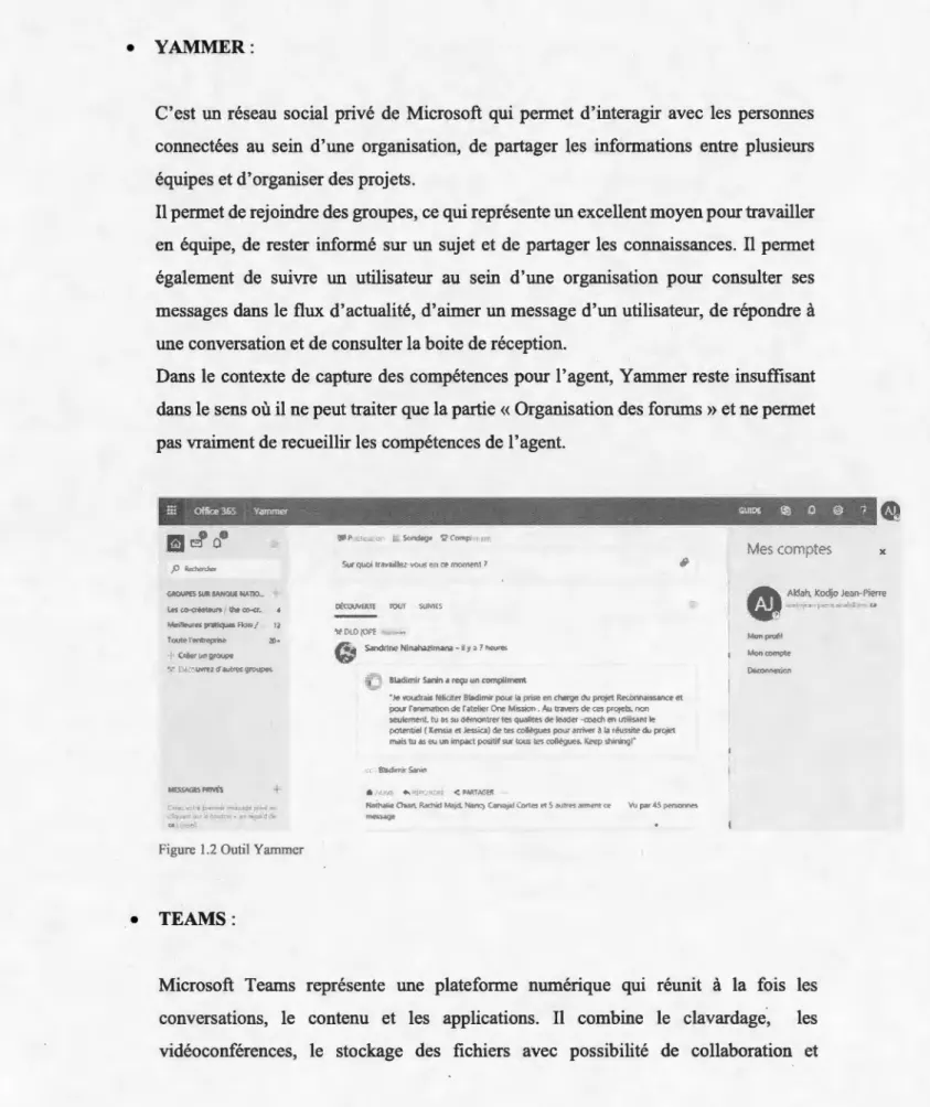 Figure 1.2 Outil Yammcr 