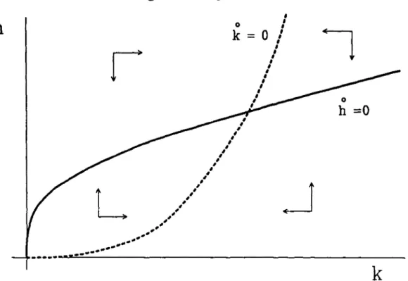 Graphique 1 : Diagramme en phase dans le cas où il existe un équilibre stable. k