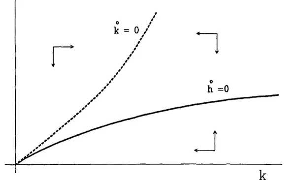 Graphique 2 : Diagramme en phase dans le cas où la fonction de production ne permet pas de soutenir d'autre niveau stable que le point nul.