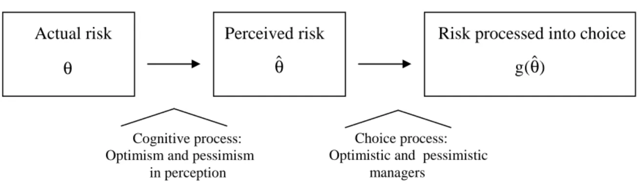 Figure 1. From actual risk to choice 