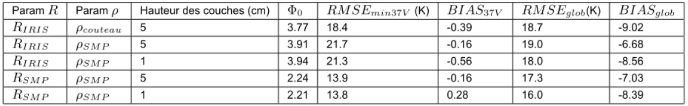 Tableau 5 – Erreurs de simulation selon le pas d’échantillonnage (épaisseur des couches) pour R IRIS et ρ SM P 
