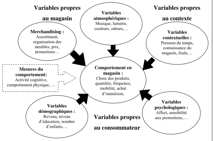 Figure 1.2 Les variables explicatives du comportement du consommateur en  magasin 