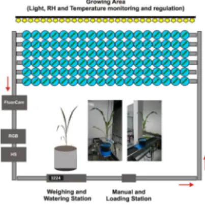 FIG. 1 – A synoptic view of the phenotyping platform in Nitra