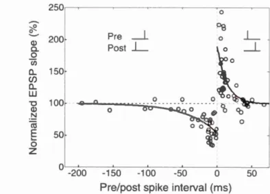 Fig.  2.3  STDP time window from  empirical data.  Ex cerpt  f rom  (Yang and  Poo ,  2006)