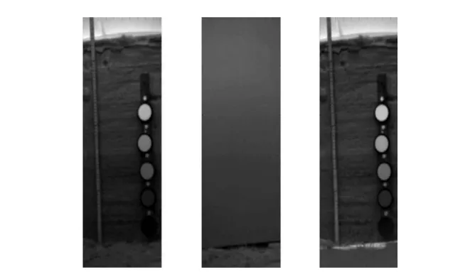 Fig. 5. Example of a calibration curve between the normalized grayscale values and the manufactured albedo values for the SWIRcam.