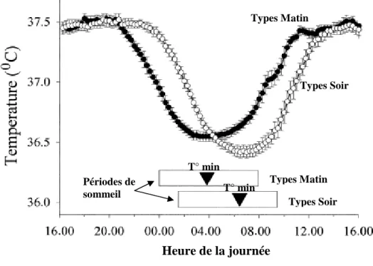 Figure 4. Courbes de température des Types Matin et des Types Soir.  Issu de  Baehr et al