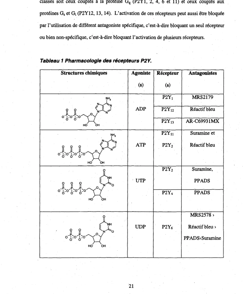 Tableau 1 Pharmacologic des recepteurs P2Y. 