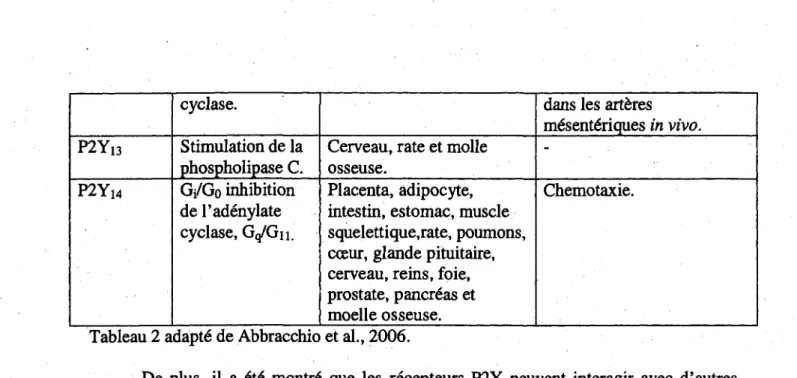 Tableau 2 adapte de Abbracchio et al., 2006. 