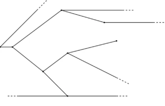 Figure 9. Examples of graphs for which item (ii) of Theorem 2.5 does not hold.