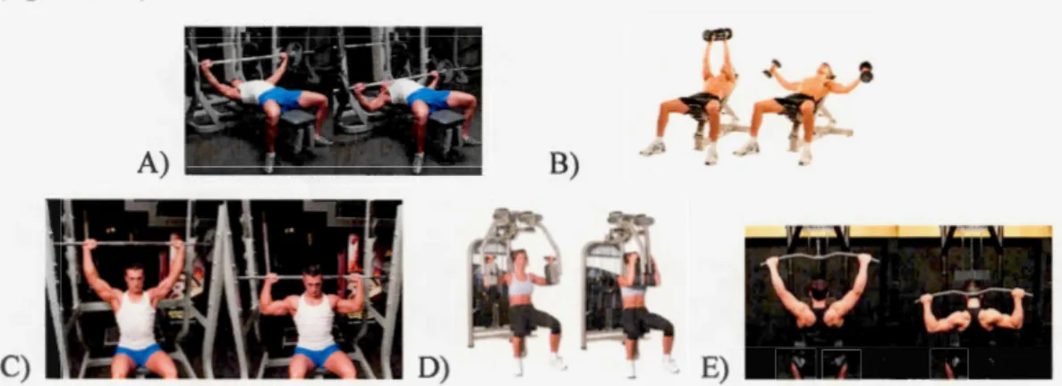 Figure 2.21  Illustration d' un A) développé-couché en prise large, B) écarté-incliné,  C) behind the neck military press, D) pec-deck et E) behind the neck lat