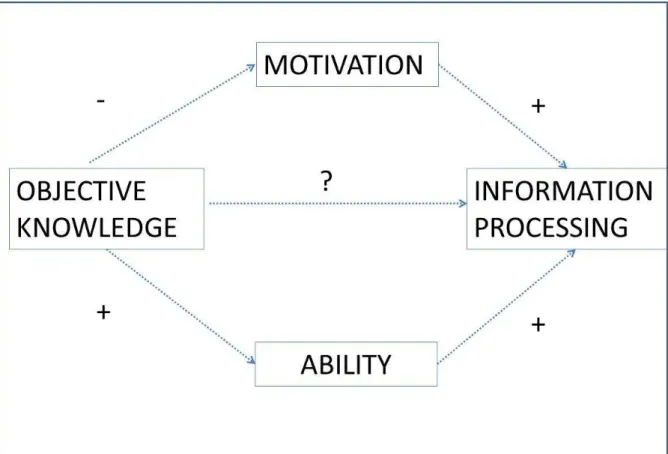 Figure 9: Conflicting forces underlying the relationship between objective knowledge and  information processing 