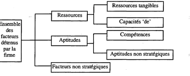Figure II.2. : Représentation des Ressources, Aptitudes, Capacités et Compétences