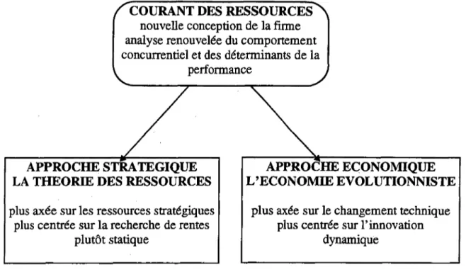 Figure Il.1. Les approches théoriques de base du Courant des Ressources