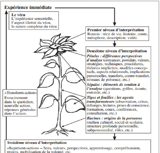 Figure 4 : Métaphore de la fleur, modèle d’analyse réflexive 