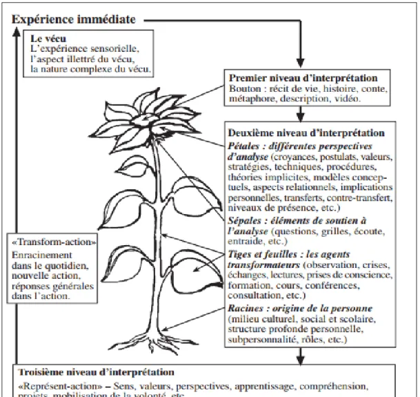 Figure 4 : Métaphore de la fleur, modèle d’analyse réflexive 