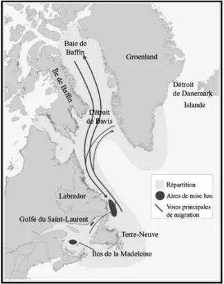 Figure 1.2. Troupeaux de la population  Atlantique Nord-Ouest 