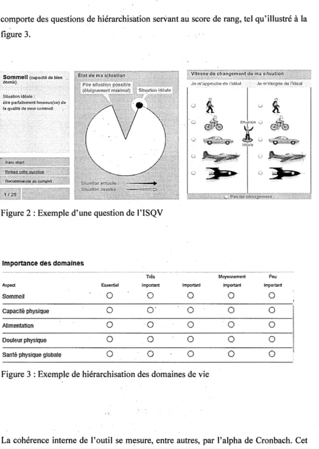 Figure 2: Exemple d'une question de l'ISQV 