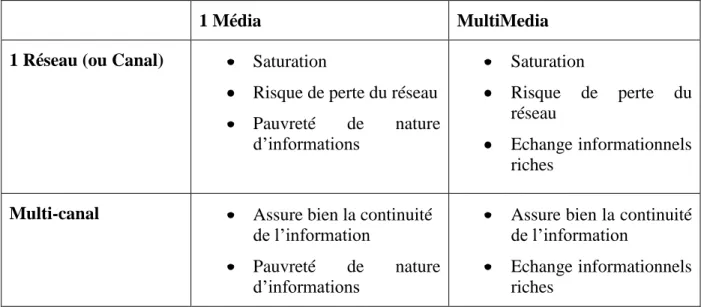 Tableau 7 : Proposition de matrice du « capital virtuel » 