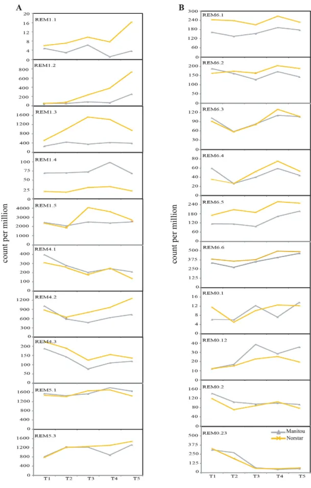 Fig. 6. Digital gene expression profiles of remorin (TaREM) genes based on the transcriptome data from the field study of 2010