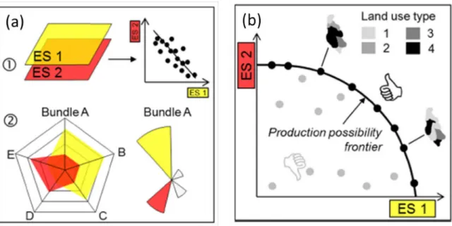 Figure 1.7: Examples of methods used to assess ES relationships. (a) Analysis of ES co-occurrence  using ① correlation analysis and ② spider diagrams