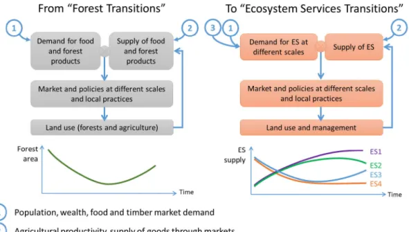 Figure 2.1: Forest transition and ES transition frameworks. 