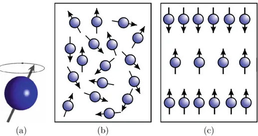 Figure 1.1 – a) Visualisation du spin nucléaire d’un proton en précession [ Möllen- Möllen-hoff et al