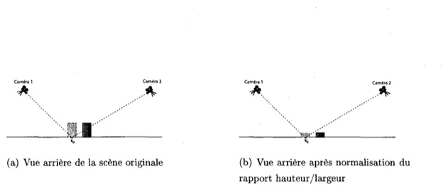 Figure 2.9 - La normalisation du rapport hauteur/largeur peut etre vue comrne une  reduction de la taille veritable des objets dans le monde a trois dimensions, ce qui nous  rapproche de la configuration ideale